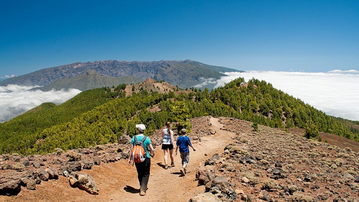 Bono turismo La Palma: Abierto el plazo para inscribirse al programa de  Bonos Turísticos La Palma