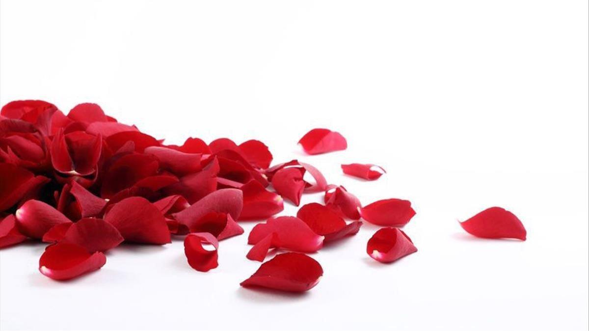 lmmarco53186347 petalos de rosa200421124459