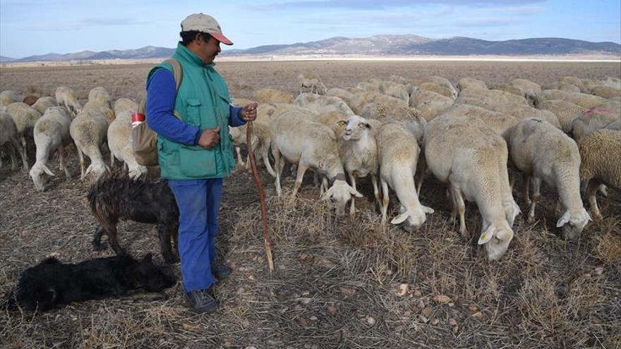 UPA tilda el 2017 de «muy malo» para el campo por la sequía y los precios