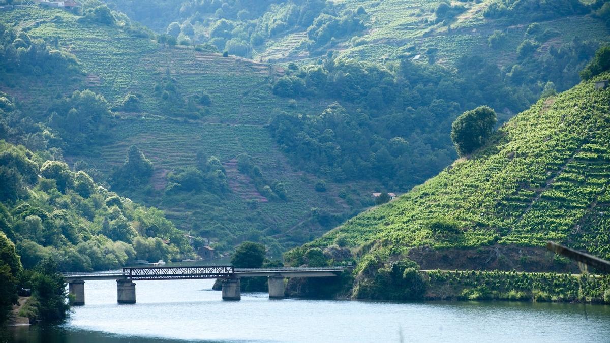 Ribeira Sacra, Galicia