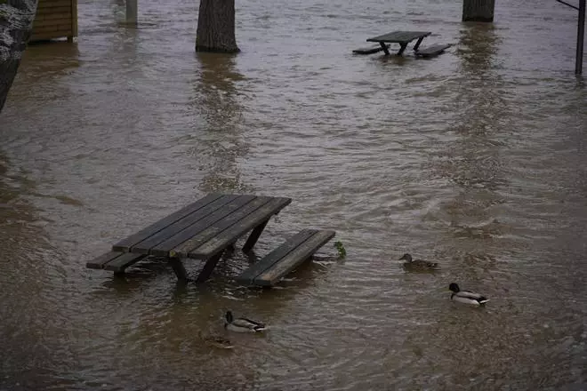 En 24 horas, el Duero aumenta su caudal