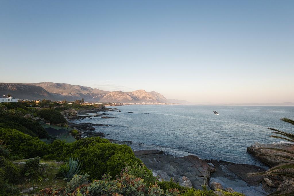 Vista de la bahía de Hermanus con una ballena solitaria emergiendo