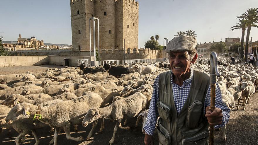 Los últimos trashumantes