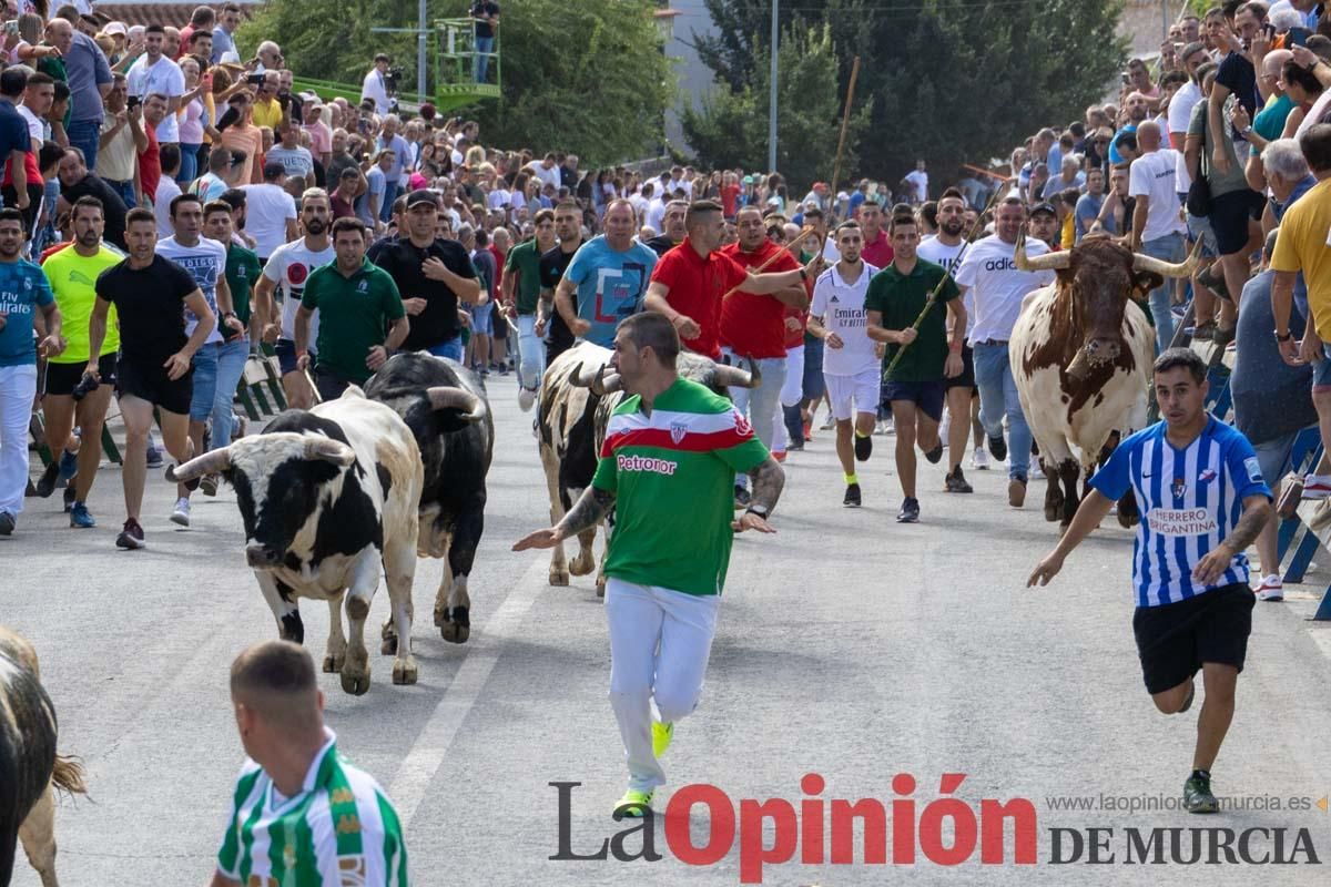 Primer encierro de la Feria del Arroz de Calasparra