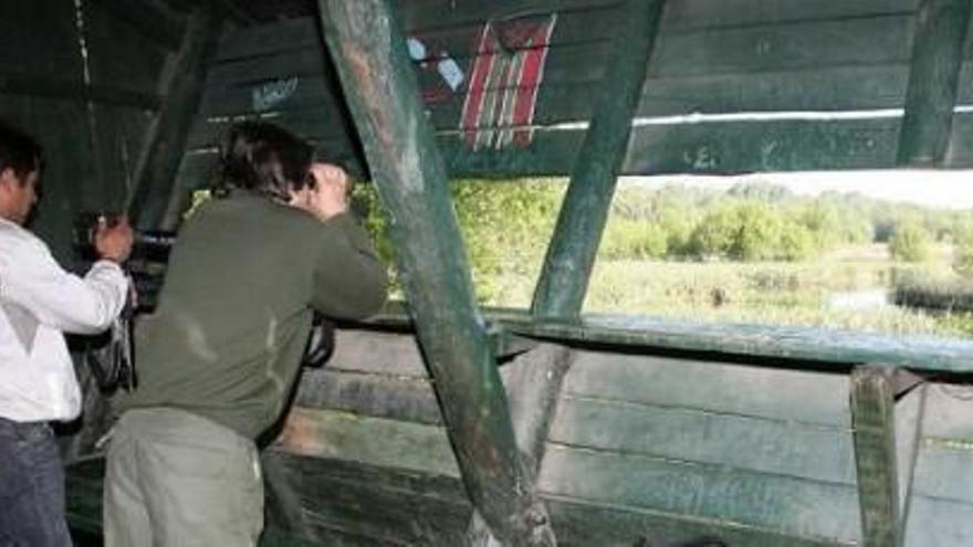 Imagen del observatorio actual, prácticamente a ras de suelo. // FdV