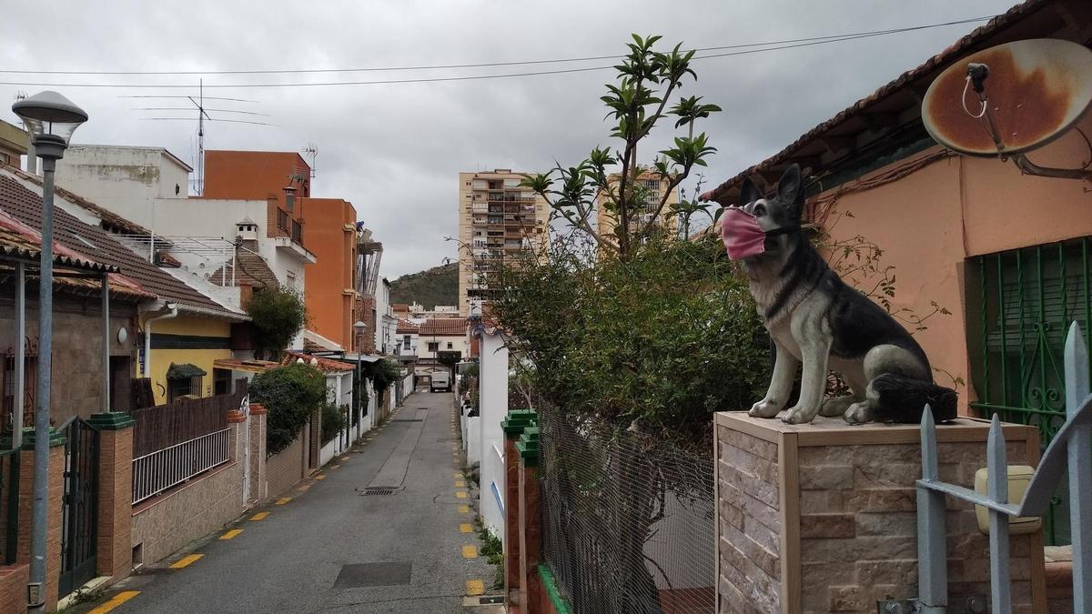 Pastor alemán con mascarilla en la calle Rafael Fernández de Ciudad Jardín.