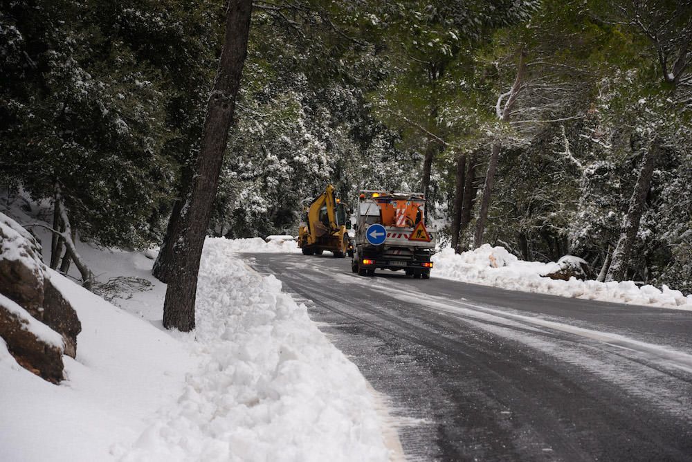 Der frühe Schnee hat am Samstag (2.12.) zahlreiche Insulaner in die Tramuntana gelockt, wo es die seltene Gelegenheit zu Schneeballschlachten oder zum Bau von Schneemännern gab.