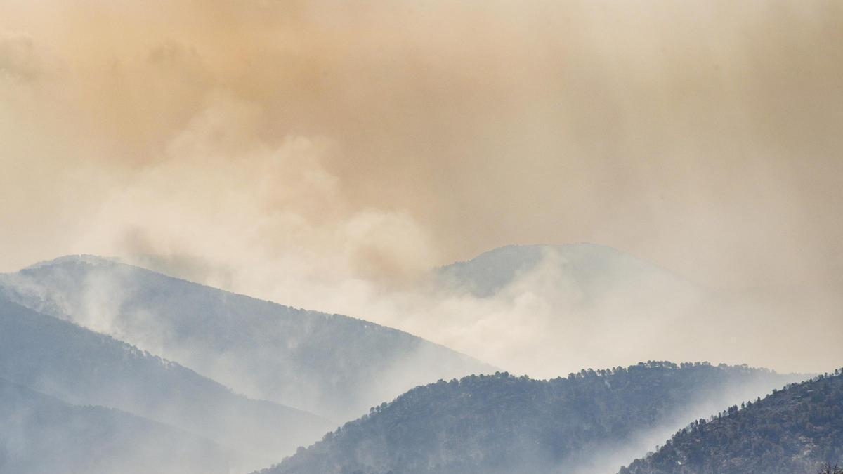 Así son las llamas que han quemado árboles por completo en los incendios de la Comunidad de Madrid