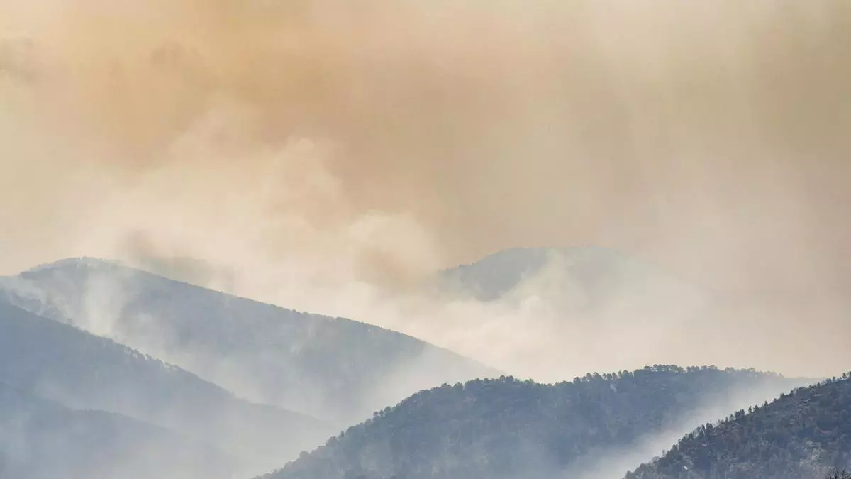 Así son las llamas que han quemado árboles por completo en los incendios de la Comunidad de Madrid