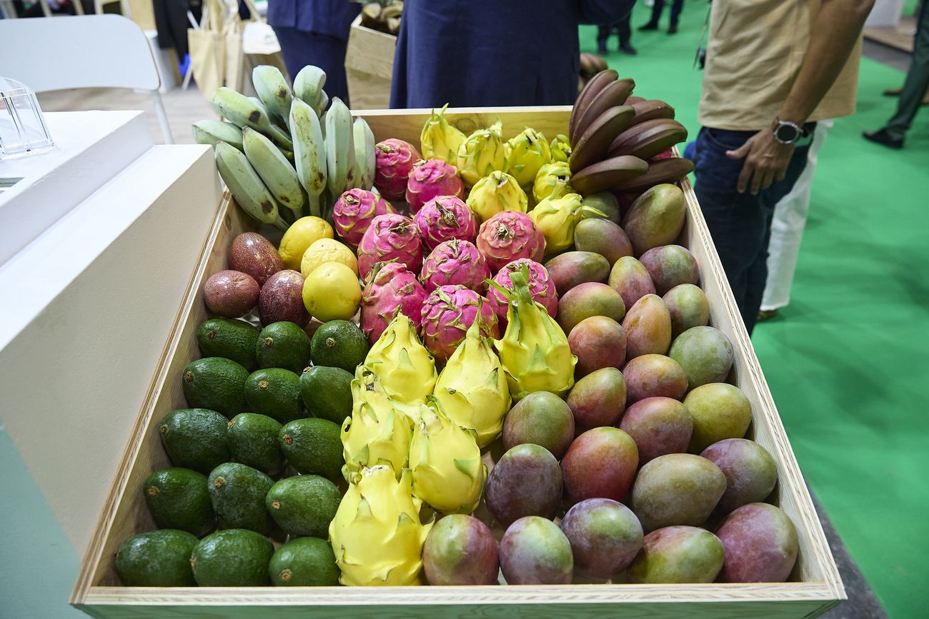Canarias acude a la feria Fruit Attraction 2025 en Madrid