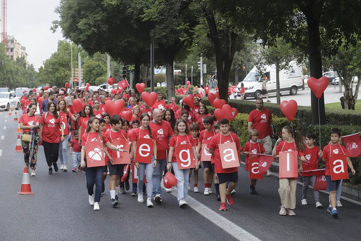 La marcha de la donación, en imágenes