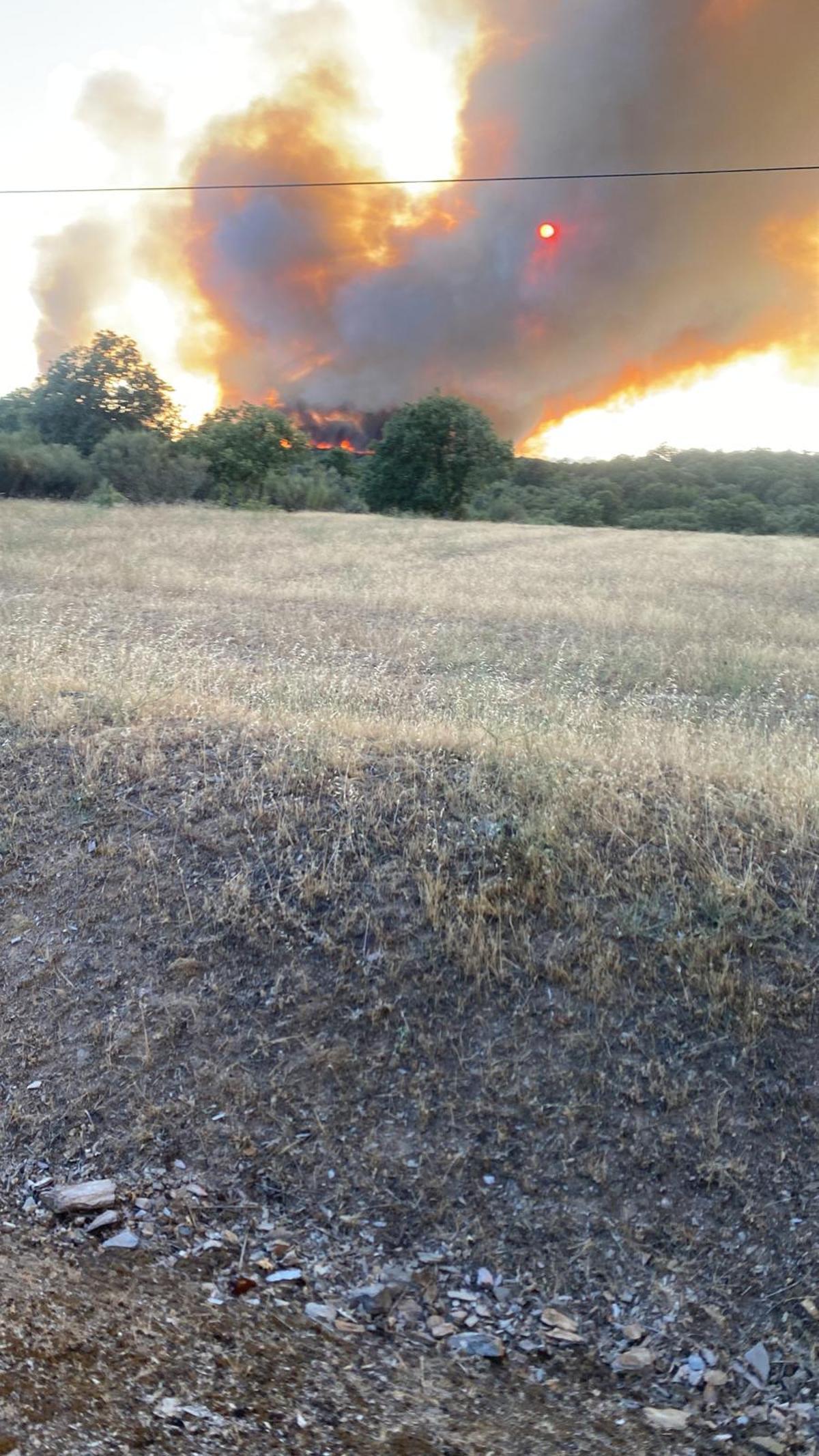 GALERÍA | Incendio forestal en Rábano de aAliste GALERÍA | Incendio forestal en Rábano de aAliste