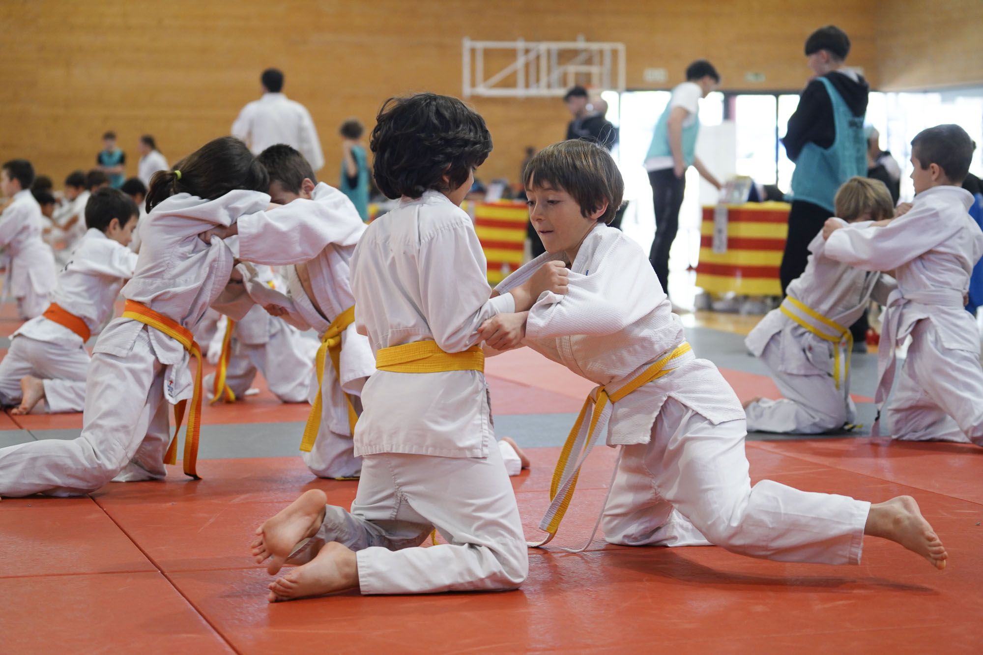 Les imatges del torneig infantil de judo de l'Escola 7