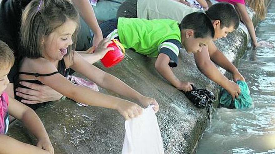 Un grupo de niños, disfrutando con el agua en el lavadero tapiego de Represas. / t. c.