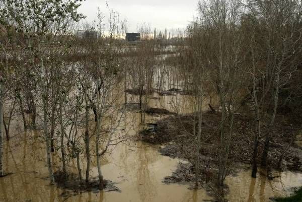 Fotogalería: Crecida en el río Ebro