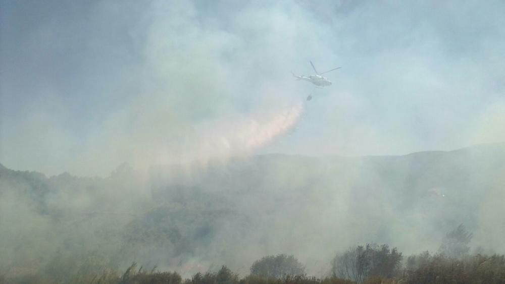 Un incendio forestal en Parcent obliga a desalojar una decena de viviendas