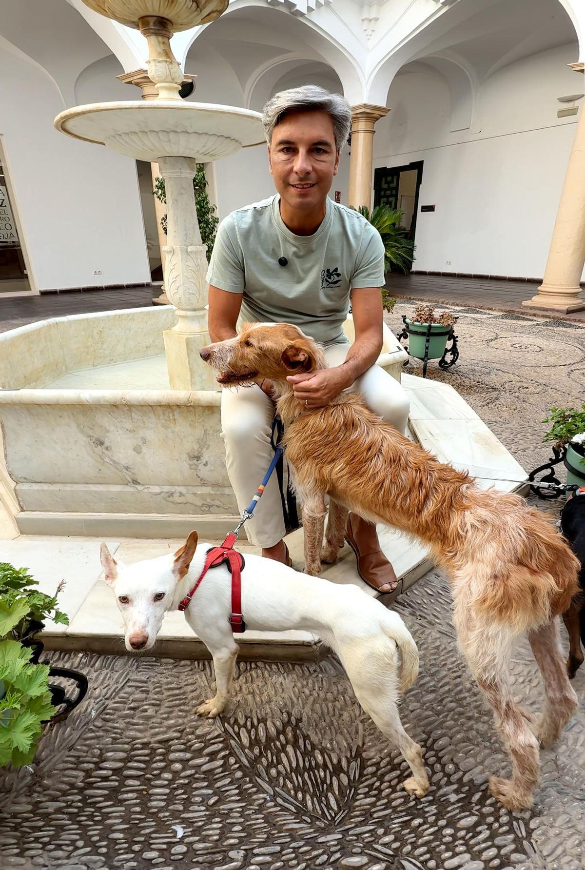 El responsable del área, Andrés Lorite, con algunos de los perros gestionados por el Servicio de Recogida de la Diputación de Córdoba.