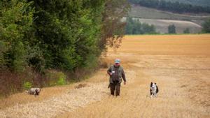 Un gos dispara i mata el seu amo de forma accidental