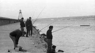 Prohibido tirar la caña en el puerto