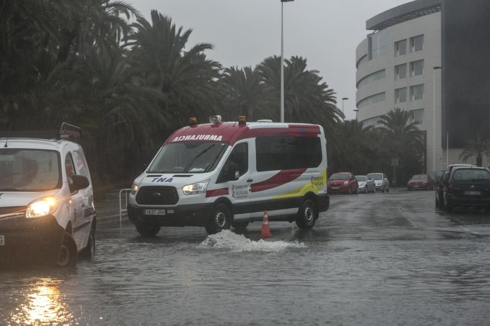 Temporal de lluvia en Elche