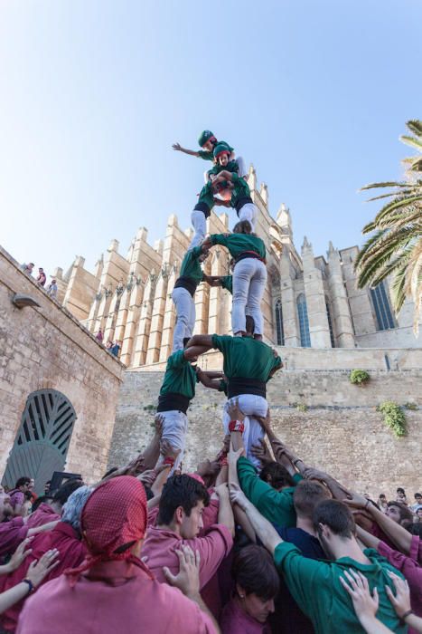 Diada de la OCB