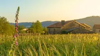 Galicia está vendiendo aldeas enteras y ya hay lista de espera: "Cada vez más grupos de amigos adquieren un grupo de casas"