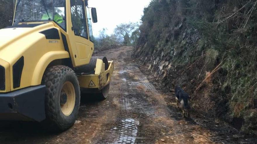 Obras de mejora en el camino entre La Robellada y Las Llanas de Ibéu