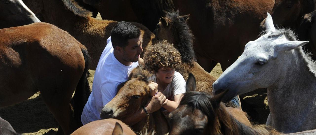 Roi Armenta, en plena loita cun poldro, durante un dos curros destes días pasados en Sabucedo.  | // BERNABÉ/JAVIER LALÍN