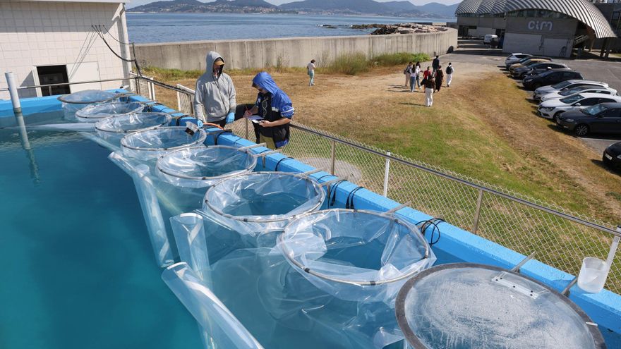 Ciencia de vanguardia para estudiar las olas de calor y las mareas rojas