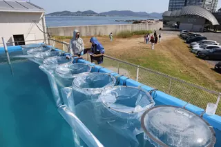 Ciencia de vanguardia para estudiar las olas de calor y las mareas rojas