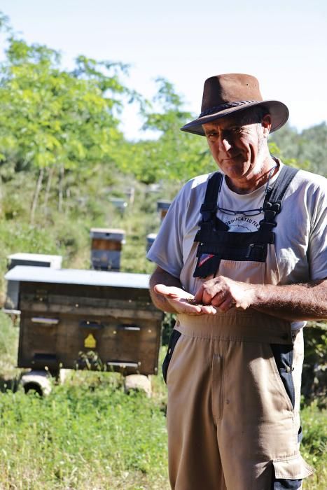 Der Regen im Mai hat den Pflanzen einen zweiten Frühling und den Bienen Pollen sowie Nektar beschert. Der Imker Gori Lladó umsorgt sie und experimentiert mit ökologischen Methoden und neuen Formen für