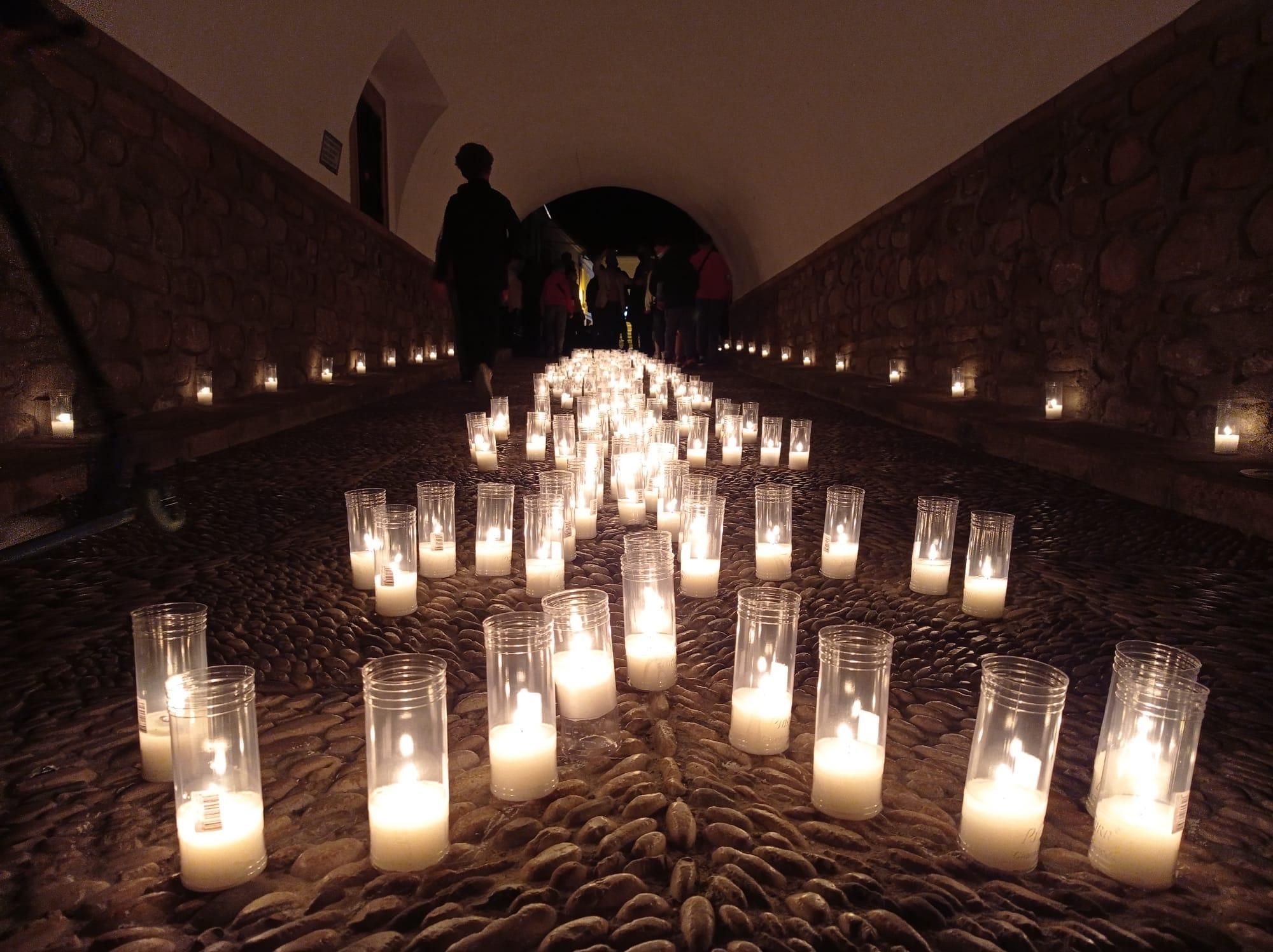 Fotosíntesis llena de luz y planta Cañete de las Torres