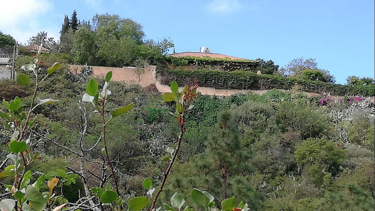 El Cabildo insta a dotar de cinturón de seguridad contraincendios a las segundas residencias