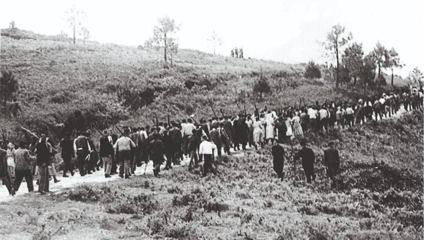 Batida de lobo, en 1955