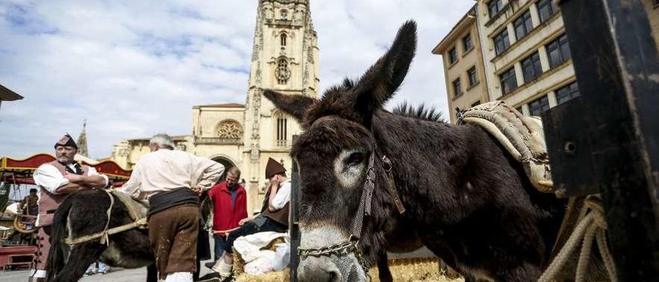 El Mercáu Astur de la Ascensión, el año pasado en la plaza de la Catedral.