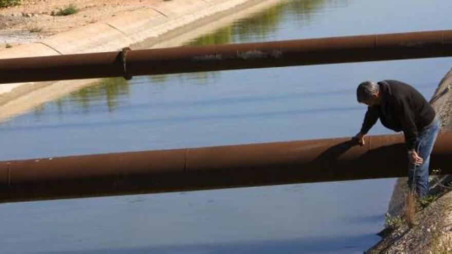 Un agricultor observa las tuberías del Tajo-Segura en un canal del trasvase en la Vega Baja.