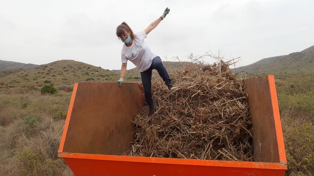 Arba reforesta Calblanque