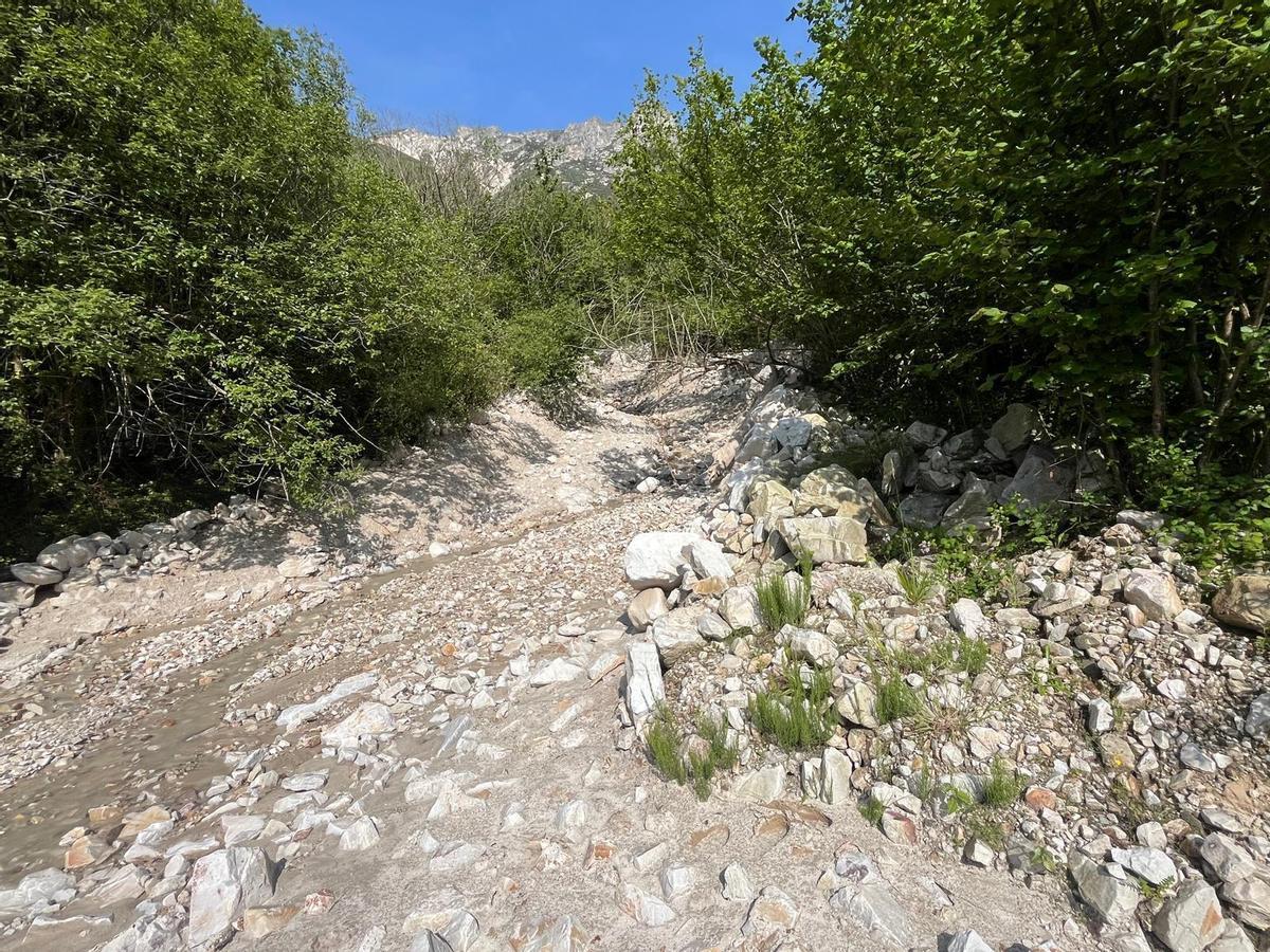 En imágenes: Así trabaja Tineo para limpiar la fana de Genestaza y dar servicio a los pueblos
