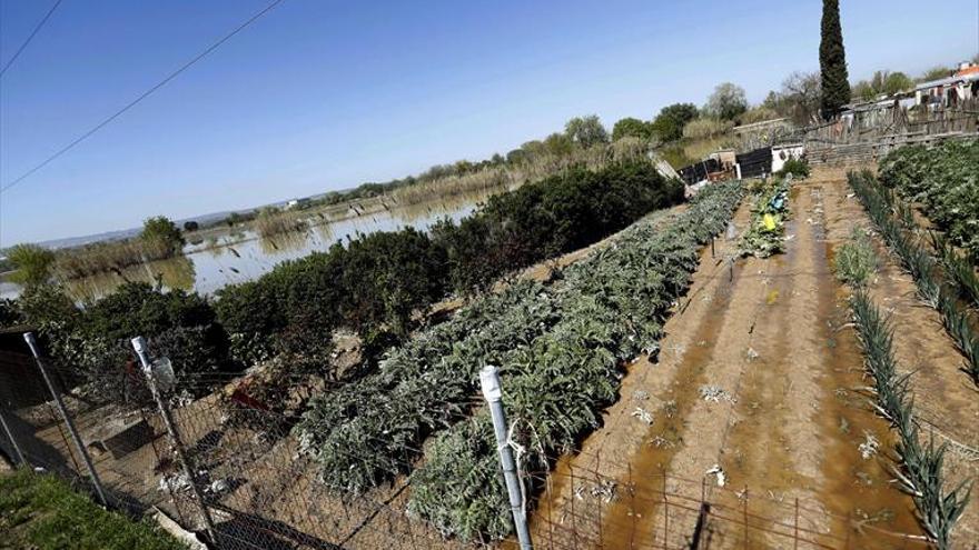 UAGA cifra en 19.000 las hectáreas de cultivo anegadas por la crecida