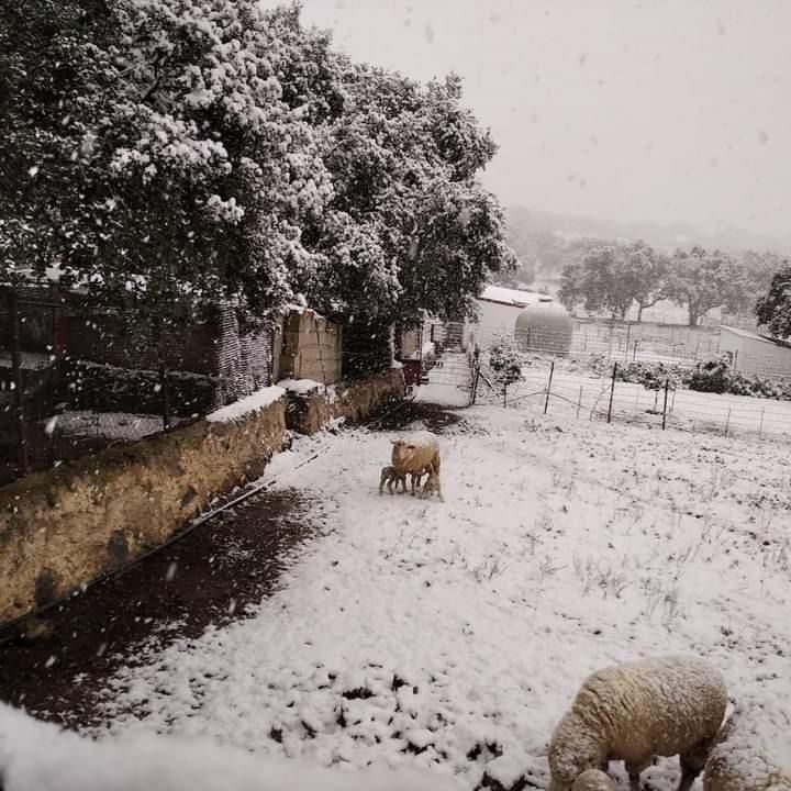 Blanca Extremadura