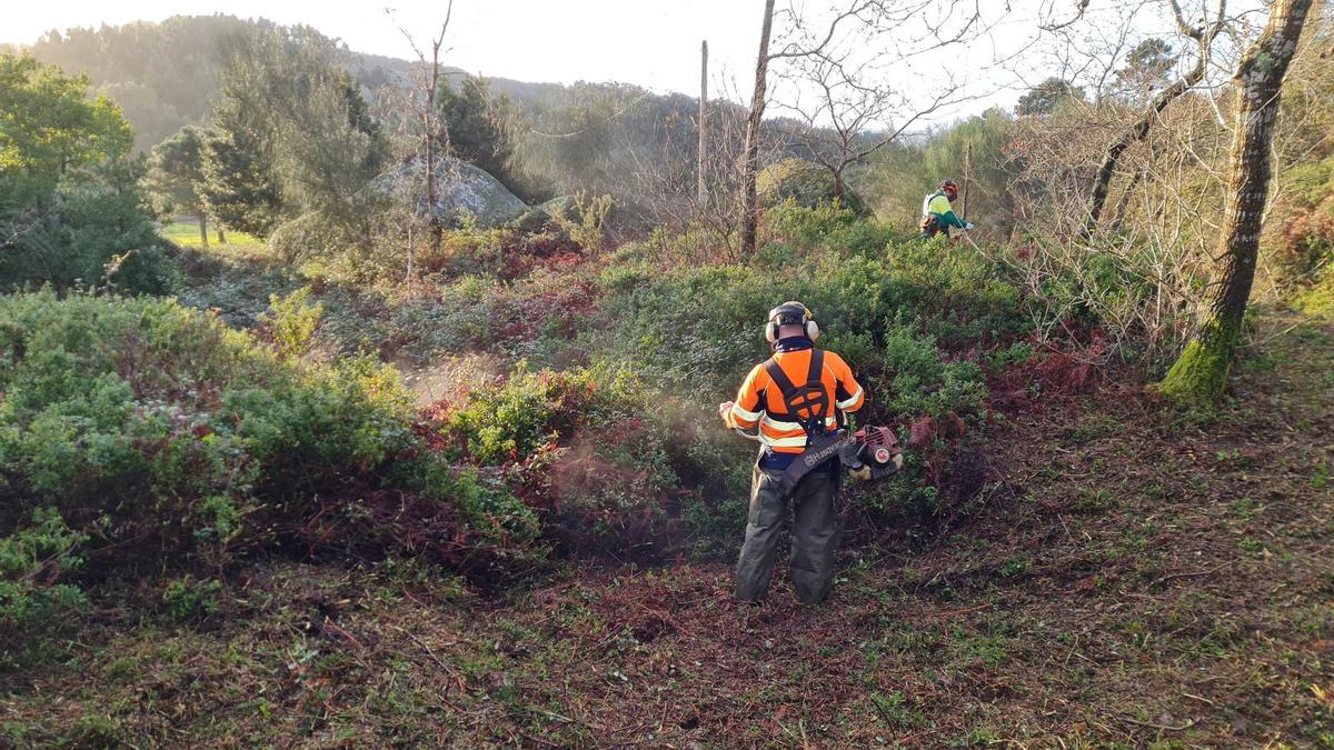 Los trabajos de limpieza y desbroce en parte de los montes comunales de Udra, en Beluso.