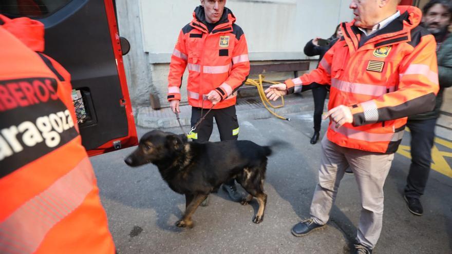 Zaragoza manda a sus bomberos a Turquía para rescatar víctimas del terremoto