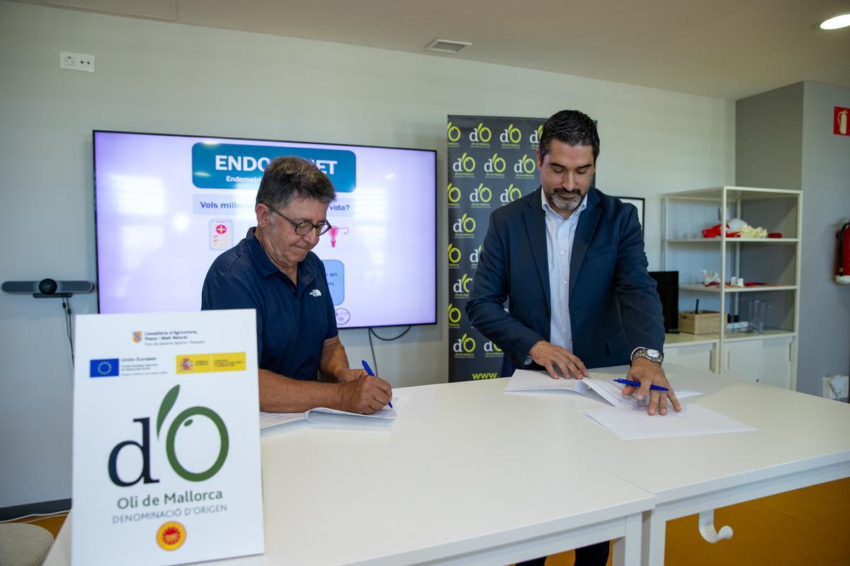 El Hospital Universitario Son Espases, el IdISBa y la DO Aceite de Mallorca renuevan esta semana el convenio de colaboración del estudio ENDO-DIET.