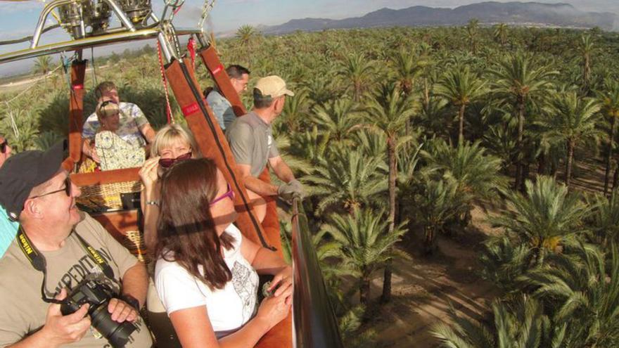 Elche alberga paisajes de gran singularidad entre los que destaca su Palmeral