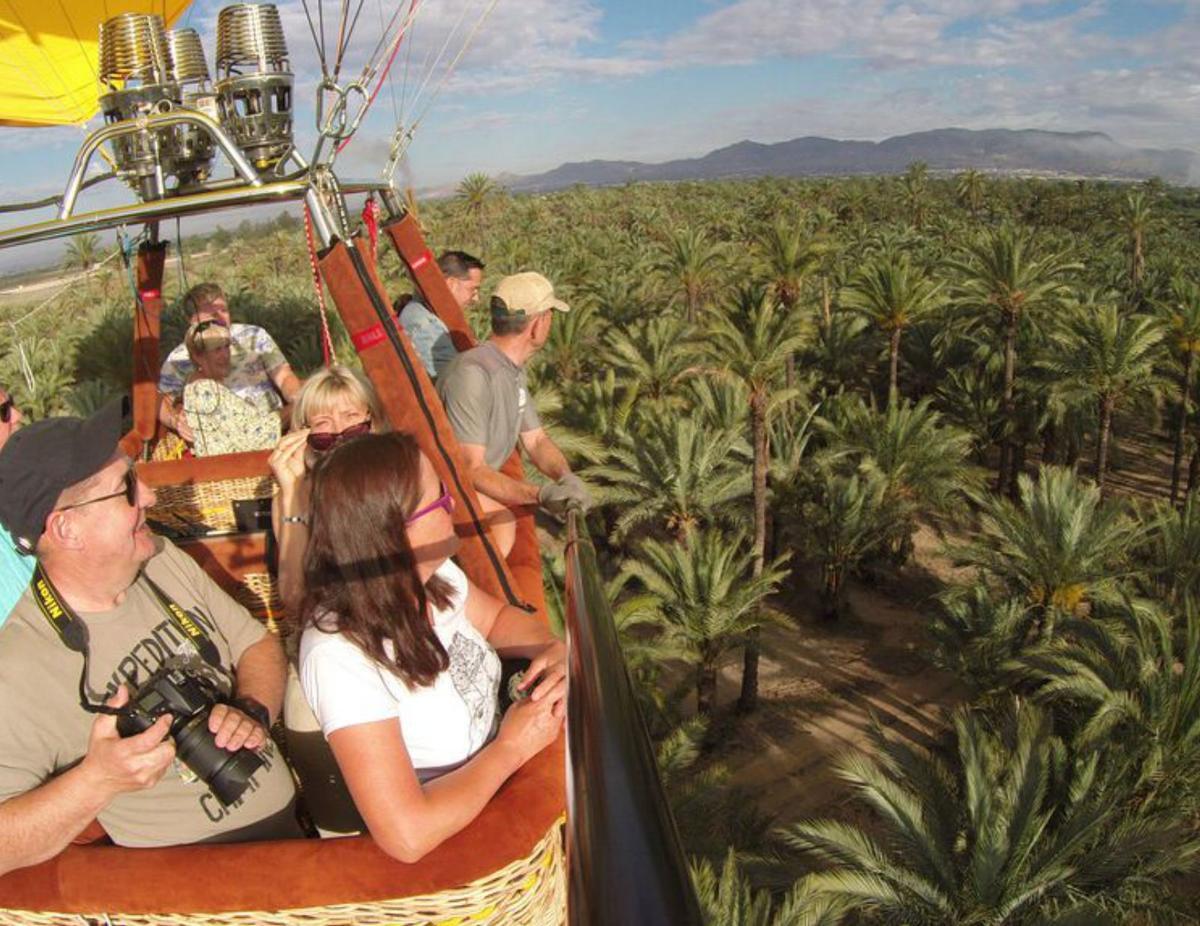Elche alberga paisajes de gran singularidad entre los que destaca su Palmeral