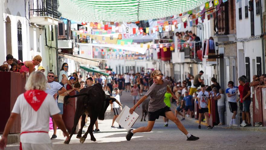 Comienzan los encierros taurinos de El Viso con gran ambiente por el recorrido