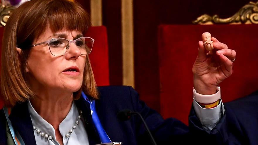 Bronca entre feministas y pro vida en el pleno de Elche