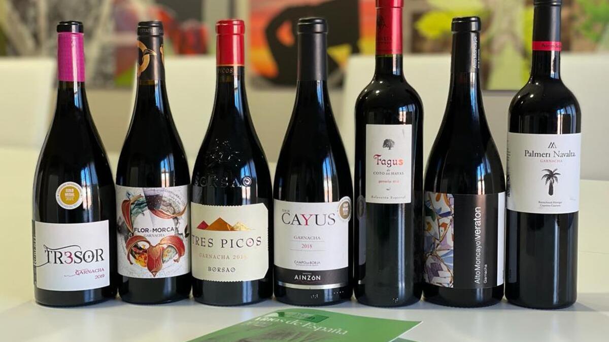 El vino de Campo de Borja, uno de los más famosos de la región