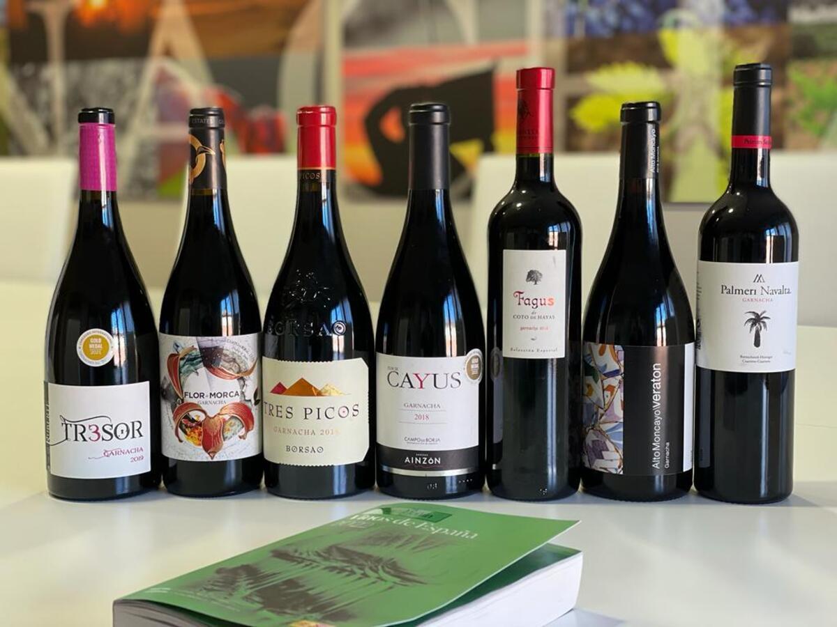 El vino de Campo de Borja, uno de los más famosos de la región