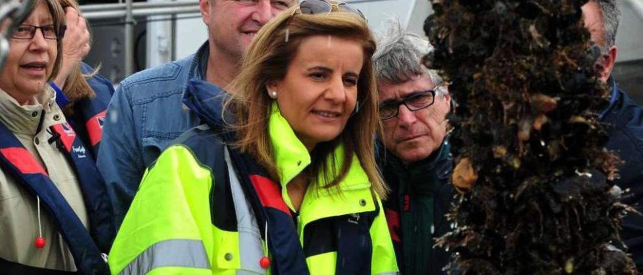 Javier Figueira, presidente de Femex, observa una cuerda de crías de mejillón detrás de la ministra Fátima Báñez y al lado de la conselleira de Mar, Rosa Quintana. // Iñaki Abella